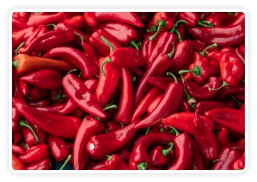 Andalusian red pepper