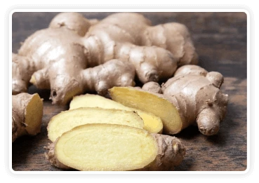 Himalayan mountain ginger